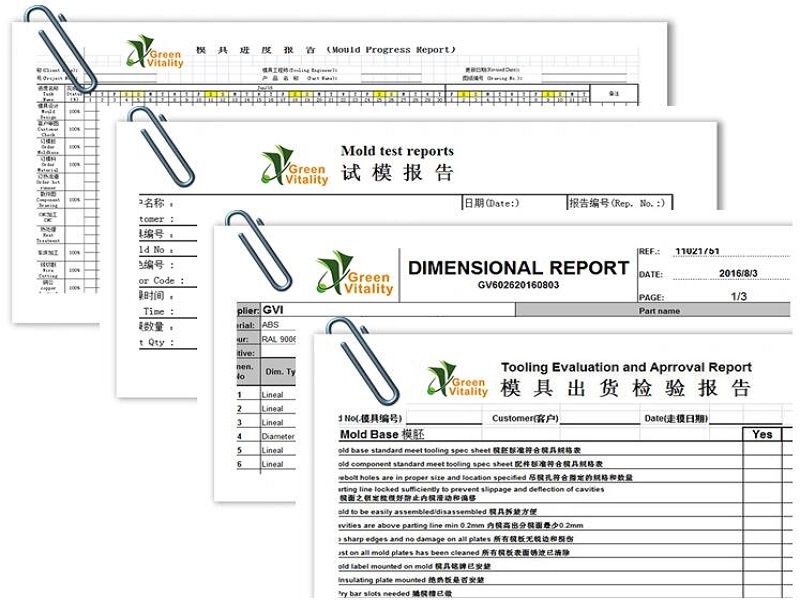 Mould report.jpg Mould report.jpg